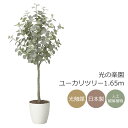 光触媒 光の楽園 ユーカリツリー1.65 インテリア フェイクグリーン 大型 人工観葉植物 (2425A320)(※ラッピング不可)