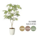 光触媒 光の楽園 ねむの木90【インテリア フェイクグリーン 人工観葉植物】(2428A150)【ラッピング不可】