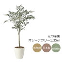 光触媒 光の楽園 オリーブツリー1.35【インテリア フェイクグリーン 人工観葉植物】(2433A220)【ラッピング不可】