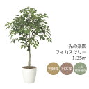 光触媒 光の楽園 フィカスツリー1.35【インテリア フェイクグリーン 人工観葉植物】(2434A210)【ラッピング不可】