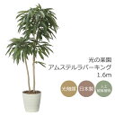 光触媒 光の楽園 アムステルラバーキング1.6 インテリア フェイクグリーン 大型 人工観葉植物 (2439A430)(※ラッピング不可)