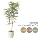 光触媒 光の楽園 ツートントネリコ1.6 インテリア フェイクグリーン 大型 人工観葉植物 (2442A380)【ラッピング不可】