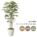 光触媒 光の楽園 ツートントネリコ1.8 インテリア フェイクグリーン 大型 人工観葉植物 (2443A650)(※ラッピング不可)