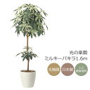 光触媒 光の楽園 ミルキーパキラ1.6 インテリア フェイクグリーン 大型 人工観葉植物 (2456A330)(※ラッピング不可)