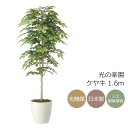光触媒 光の楽園 ケヤキ1.6 インテリア フェイクグリーン 大型 人工観葉植物 (2465A380)(※ラッピング不可)