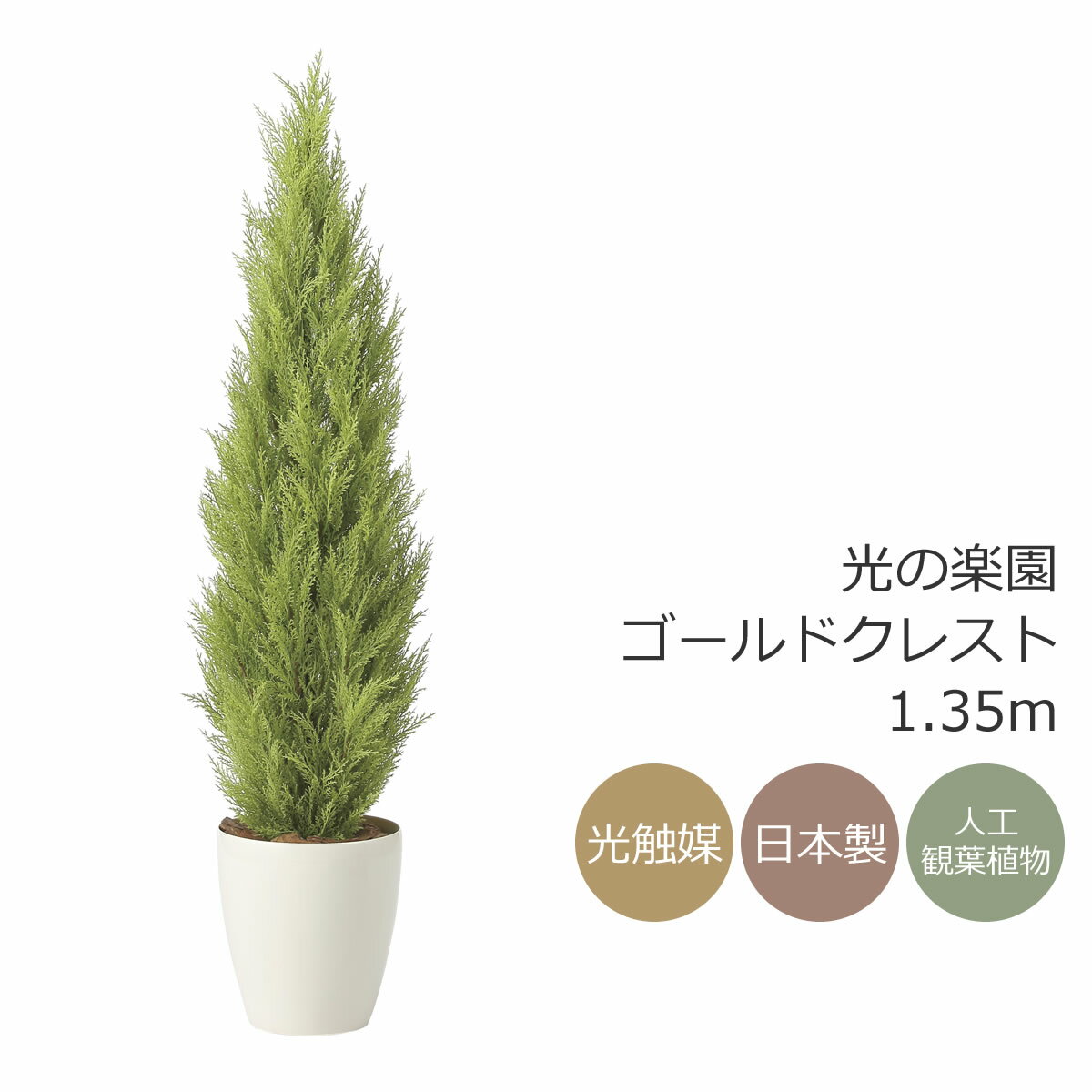 光触媒 光の楽園 ゴールドクレスト1.35(ポリ製)【インテリア フェイクグリーン 人工観葉植物】(2467A400)【ラッピング不可】