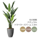 光触媒 光の楽園 ナチュラルトラベラーズパーム1.6 インテリア フェイクグリーン 大型 人工観葉植物 (2486A540)(※ラッピング不可)