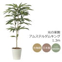 光触媒 光の楽園 アムステルダムキング1.3【インテリア 人工観葉植物】(2488A240)【ラッピング不可】