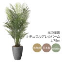 光触媒 光の楽園 ナチュラルアレカパーム1.75m インテリア フェイクグリーン 大型 人工観葉植物 (2500P750)(※ラッピング不可)
