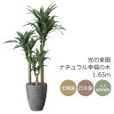 光触媒 光の楽園 ナチュラル幸福の木1.65m インテリア フェイクグリーン 大型 人工観葉植物 (2502P650)(※ラッピング不可)