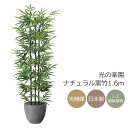 光触媒 光の楽園 ナチュラル黒竹1.6 インテリア フェイクグリーン 大型 人工観葉植物 (2504A420)(※ラッピング不可)