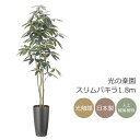 光触媒 光の楽園 スリムパキラ1.8m インテリア フェイクグリーン 大型 人工観葉植物 (2508A360)(※ラッピング不可)