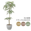 光の楽園 ナチュラルねむの木 1.6mインテリア フェイクグリーン 大型 光触媒 人工観葉植物 2517A570 【※ラッピング不可】