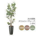 光触媒 光の楽園 スリムシーグレープ1.6m インテリア フェイクグリーン 大型 人工観葉植物 (2518A350)(※ラッピング不可)
