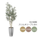 光触媒 光の楽園 スリムオリーブ1.6m インテリア フェイクグリーン 大型 人工観葉植物 (2519A400)(※ラッピング不可)