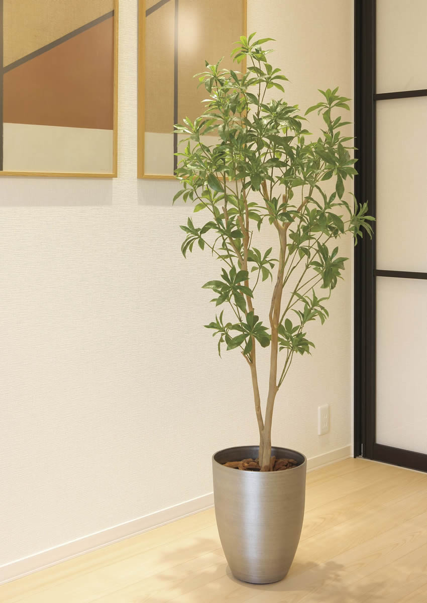 楽天市場】アセビ(カラーグリーン)(造花・人工観葉植物|花 楽天市場】アセビ(カラーグリーン)(造花・人工観葉植物|花