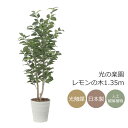 光触媒 光の楽園 レモンの木1.35m【インテリア フェイクグリーン 人工観葉植物】(2523A275)(※ラッピング不可)