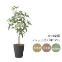 光触媒 光の楽園 フレッシュパキラ95【インテリア フェイクグリーン 人工観葉植物】(2525A100)(※ラッピング不可)