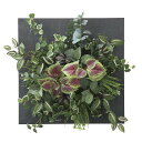 光触媒 光の楽園 ウォールタイプコリウス45【アートフラワー 造花】(2557A200)(※ラッピング不可)