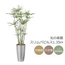 光触媒 光の楽園 スリムパピルス1.35m【インテリア フェイクグリーン 人工観葉植物】(2564A260)(※ラッピング不可)