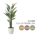光触媒 光の楽園 ストレチア花付き1.5m【インテリア フェイクグリーン 人工観葉植物】(2565A500)(※ラッピング不可)