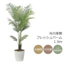 光触媒 光の楽園 フレッシュパーム1.5m【インテリア フェイクグリーン 人工観葉植物】(2566A370)(※ラッピング不可)