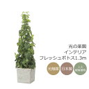 光触媒 光の楽園 インテリアフレッシュポトス1.3m【インテリア フェイクグリーン 人工観葉植物】(2574A400)(※ラッピング不可)