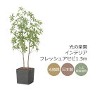 光触媒 光の楽園 インテリアフレッシュアセビ1.5m【インテリア フェイクグリーン 人工観葉植物】(2575A370)(※ラッピング不可)