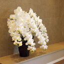 光触媒 光の楽園 フレッシュロング胡蝶蘭7本立ちW【アートフラワー 造花】(2578A500)(※ラッピング不可)