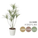 光触媒 光の楽園 ドラセナ1.4(ポリ製)【インテリア フェイクグリーン 人工観葉植物】(2593A480)(※ラッピング不可)