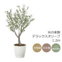 光触媒 光の楽園 デラックスオリーブ1.2m【インテリア フェイクグリーン 人工観葉植物】(2594A240)(※ラッピング不可)