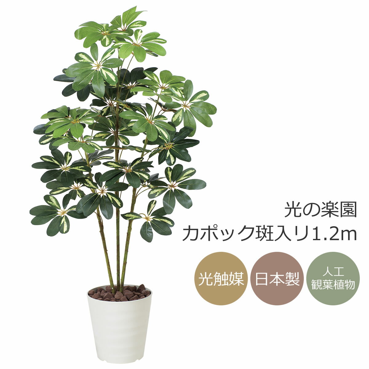 シェフレラ 観葉植物 光触媒 光の楽園 カポック斑入リ1.2m フェイクグリーン 人工観葉植物(371K165)【ラッピング不可】