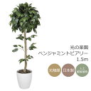 光触媒 光の楽園ベンジャミントピアリー 高さ1.5m フェイクグリーン 人工観葉植物