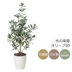 https://thumbnail.image.rakuten.co.jp/@0_mall/hikarinorakuen/cabinet/item/378k120_main_img.jpg