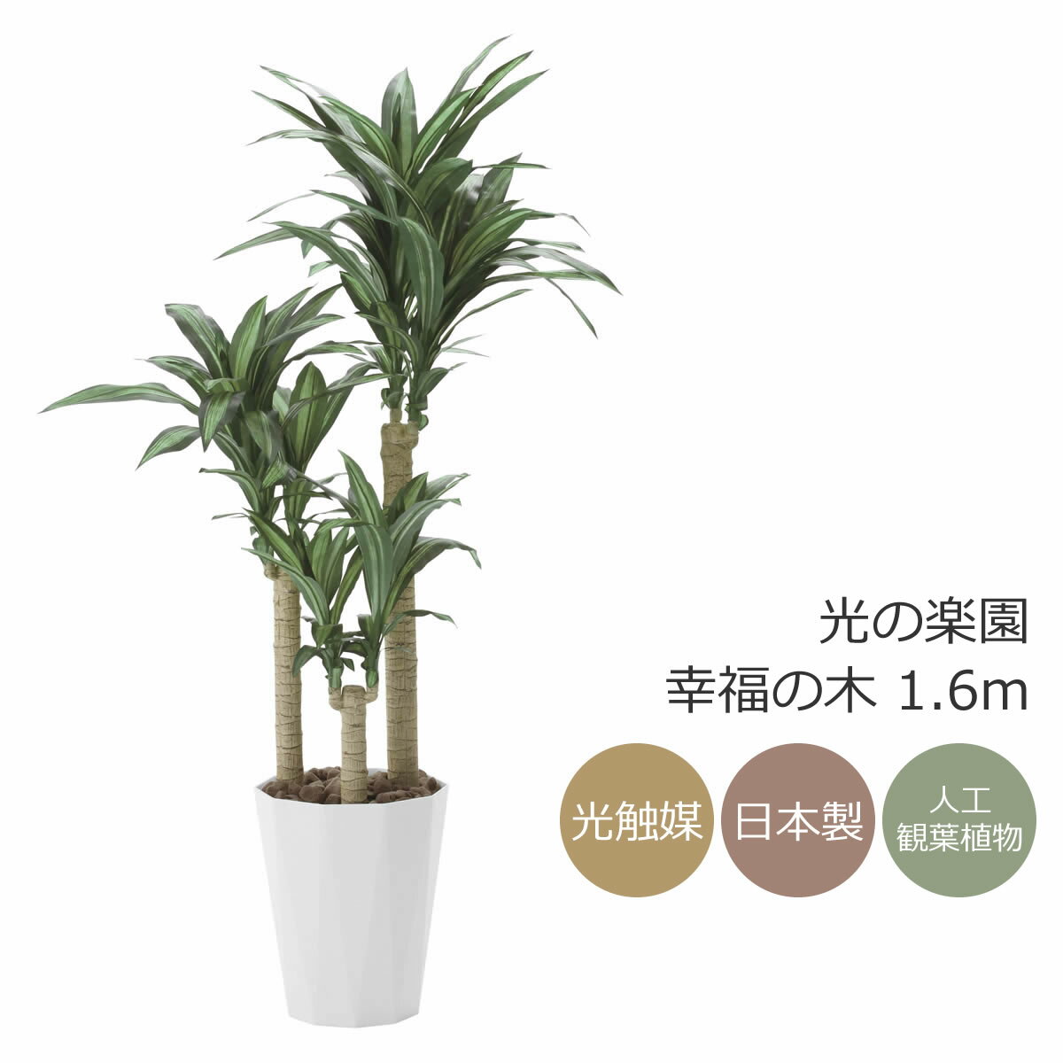 光触媒 人工観葉植物光の楽園 幸福の木 高さ 1.6mフェイクグリーン インテリア 大型