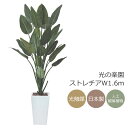 光触媒 光の楽園 ストレチアW1.6m インテリア フェイクグリーン 大型 人工観葉植物 (409P600)(※ラッピング不可)
