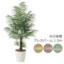 光触媒 人工観葉植物光の楽園 アレカパーム 高さ 1.5mインテリア フェイクグリーン