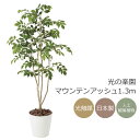 光触媒 光の楽園 マウンテンアッシュ1.3m【インテリア フェイクグリーン 人工観葉植物】(424P220)(※ラッピング不可)