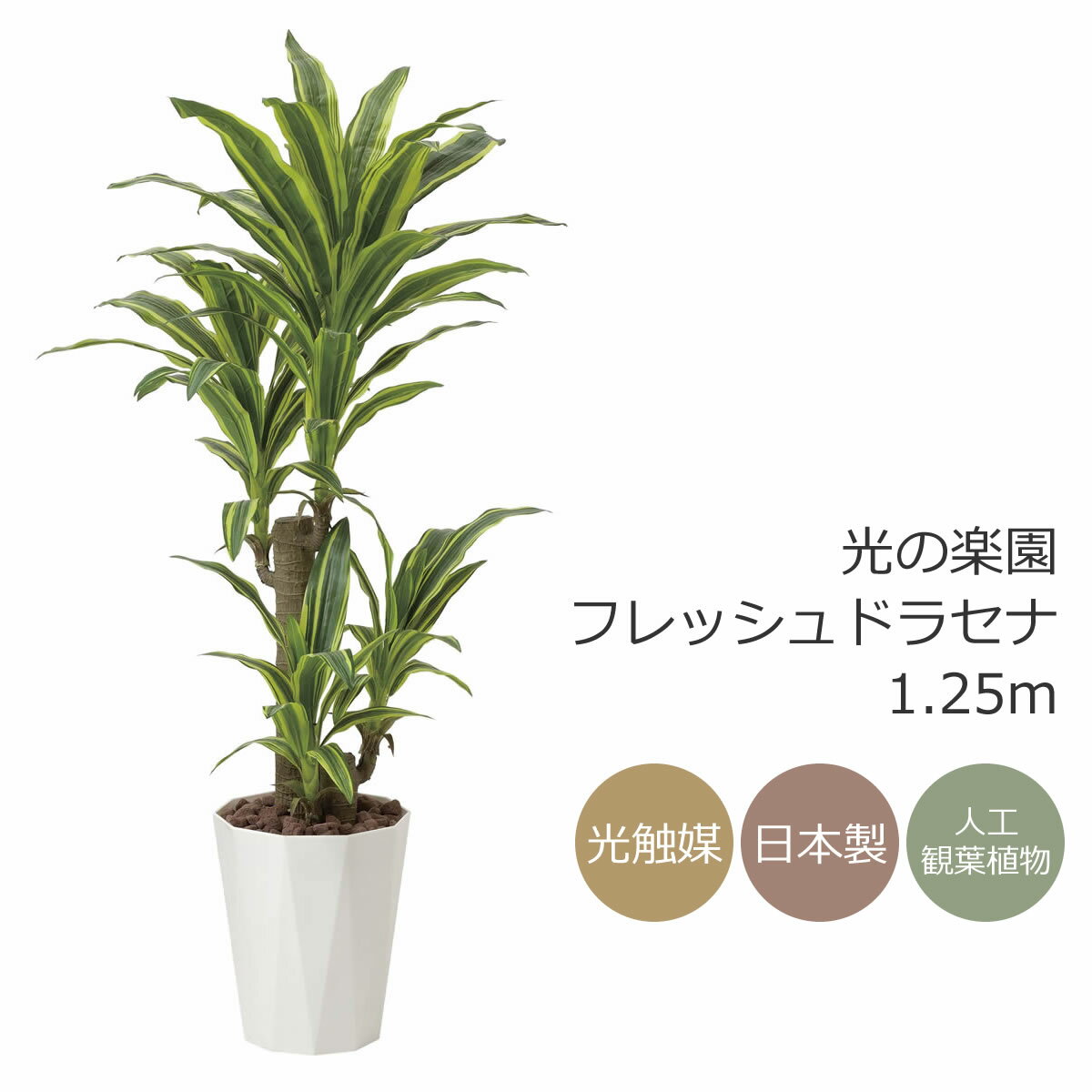 光触媒 人工観葉植物光の楽園 フレッシュドラセナ 高さ 1.25mフェイクグリーン インテリア