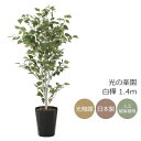 光触媒 光の楽園 白樺1.4m フェイクグリーン 人工観葉植物(607K275)【ラッピング不可】