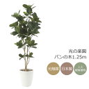 光触媒 光の楽園 パンの木1.25m【インテリア フェイクグリーン 人工観葉植物】(611P240)(※ラッピング不可)