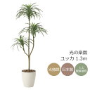 光触媒 光の楽園 ユッカ 1.3m フェイクグリーン 人工観葉植物