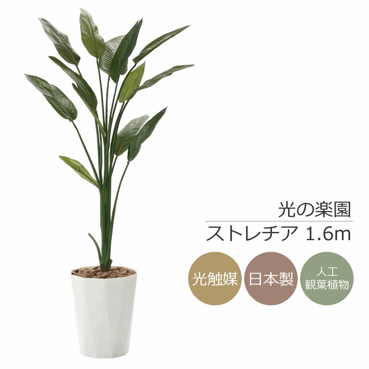 光触媒 光の楽園 ストレチア1.6m フェイクグリーン 人工観葉植物(729K270)【ラッピング不可】