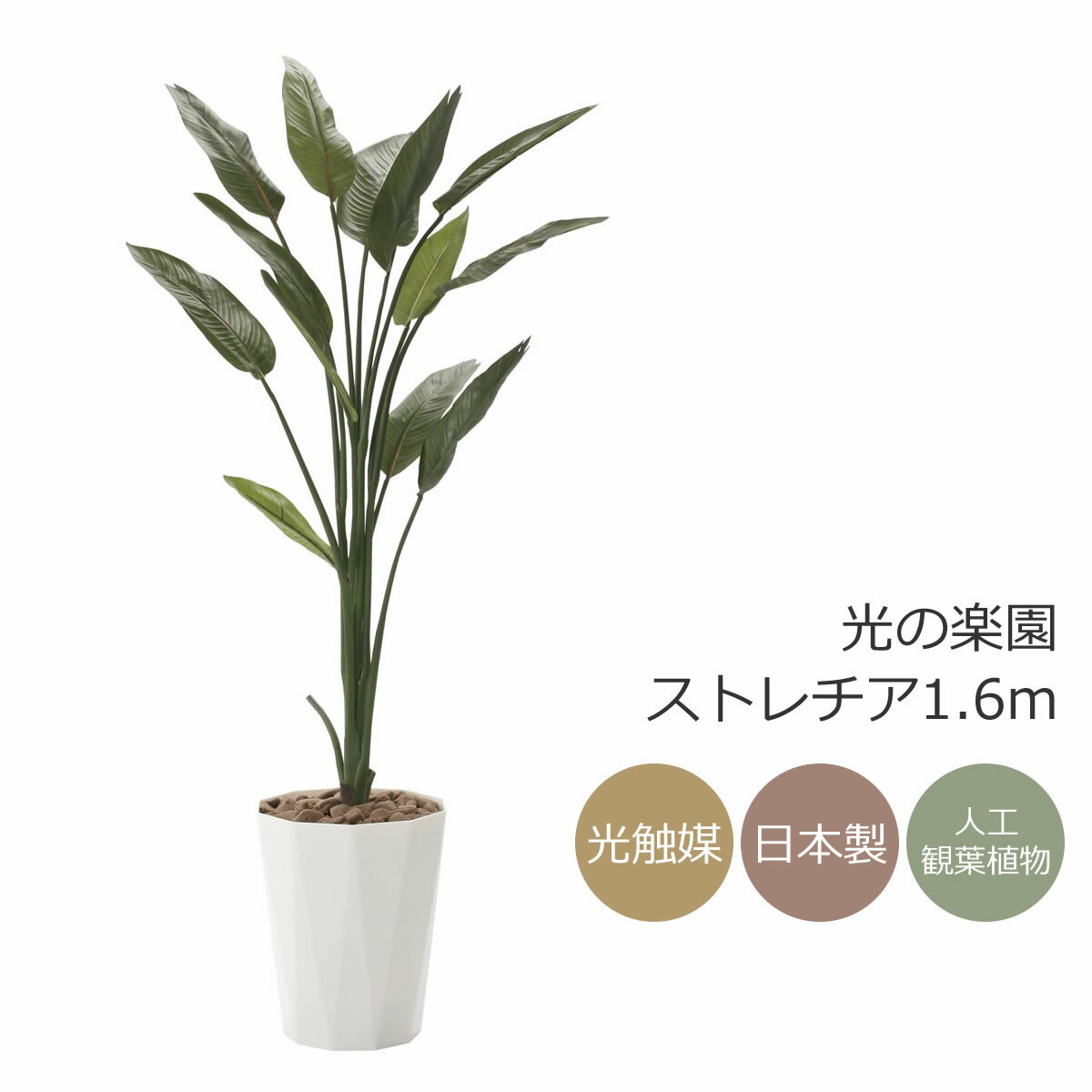 【フェイクグリーン】 光の楽園 ストレチア 1.6m光触媒 人工観葉植物 インテリア