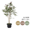 光触媒 光の楽園 南天1.0m フェイクグリーン 人工観葉植物(734K165)【ラッピング不可】