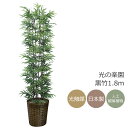 光触媒 人工観葉植物光の楽園 黒竹 1.8m 幹:天然竹インテリア フェイクグリーン 大型