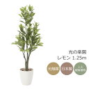 光触媒 人工観葉植物光の楽園 レモン1.25mインテリア フェイクグリーン