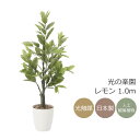 光触媒 人工観葉植物光の楽園 レモン1.0mインテリア フェイクグリーン