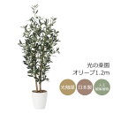 光触媒 光の楽園 オリーブ1.2m【インテリア フェイクグリーン 人工観葉植物】(869P260)(※ラッピング不可)