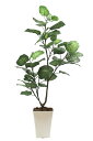 光の楽園 人工観葉植物一点ものグリーン019（ウンベラータ） 高さ1.15m
